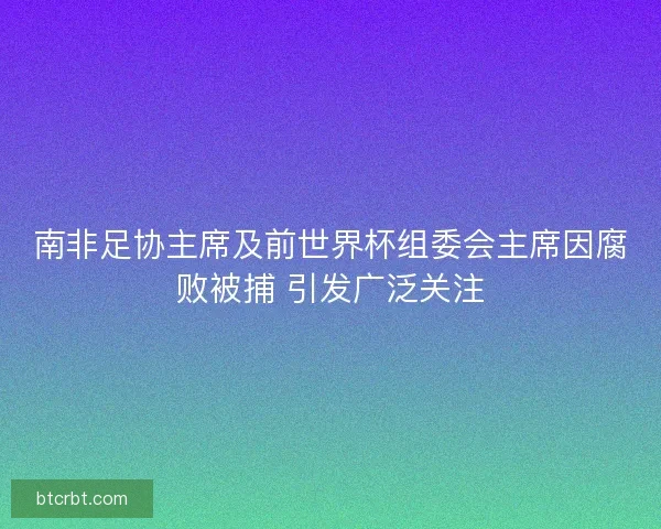 南非足协主席及前世界杯组委会主席因腐败被捕 引发广泛关注 南非足协主席及前世界杯组委会主席因腐败被捕 引发广泛关注